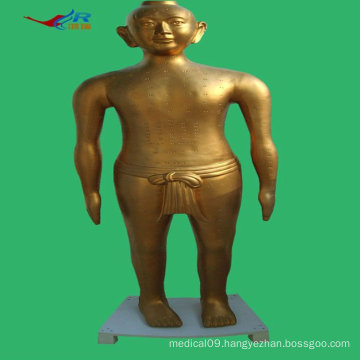 ISO Human Acupuncture Model, Deluxe Acupuncture Model 166CM (Antique Bronze) HR-501B